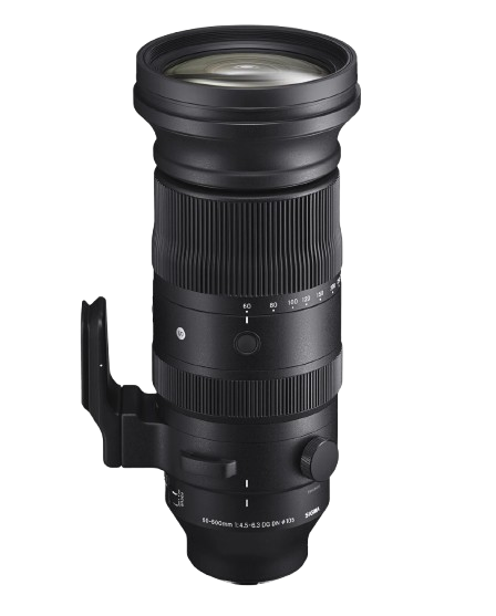 Sigma 60-600mm f/4.5-6.3 DG DN OS