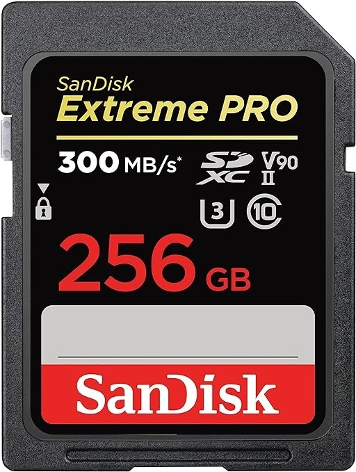 256GB Extreme Pro 300MB/s UHS-II V90